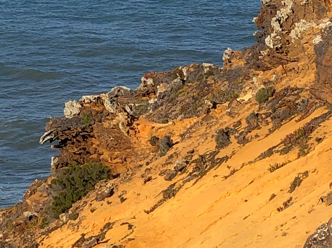 Portugal Outside景点图片