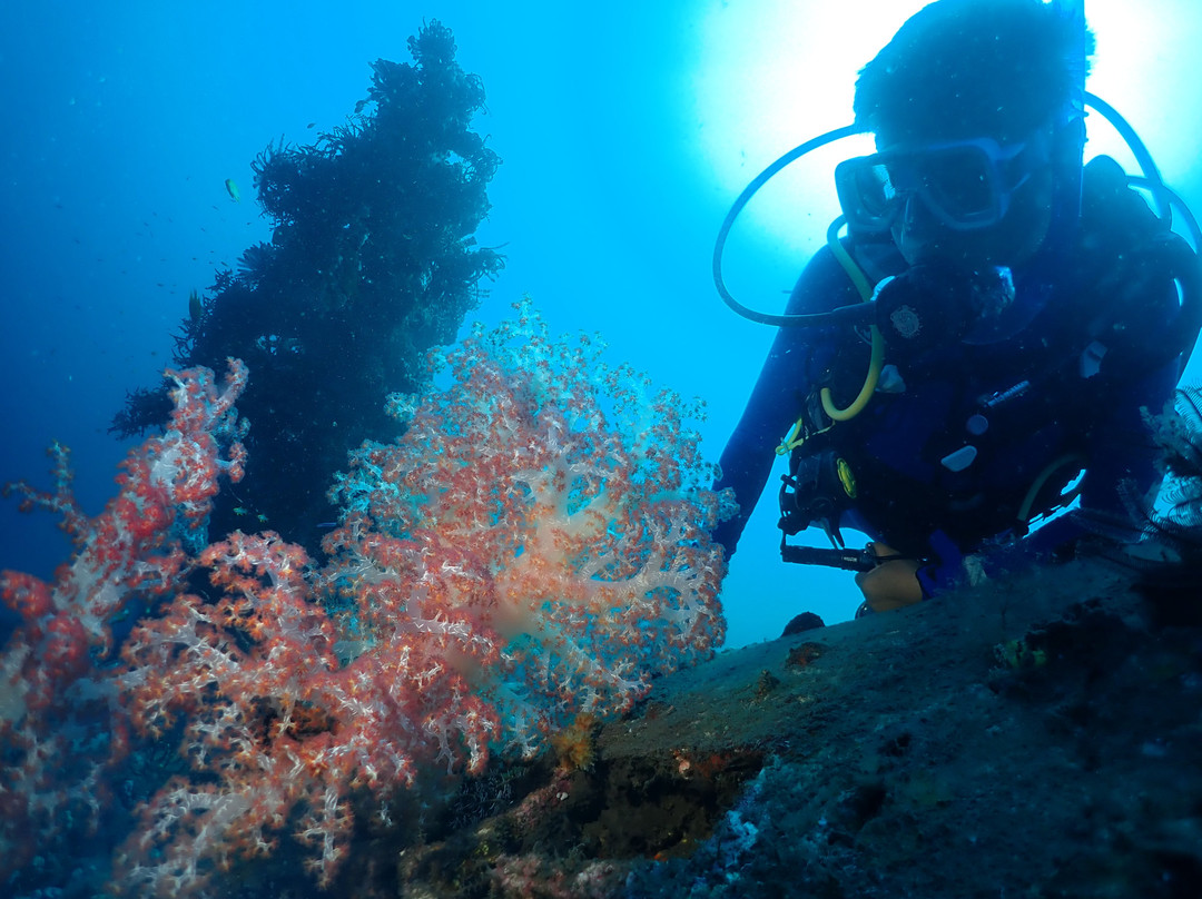 Rabaul Dive Adventures-Kokopo必去景点