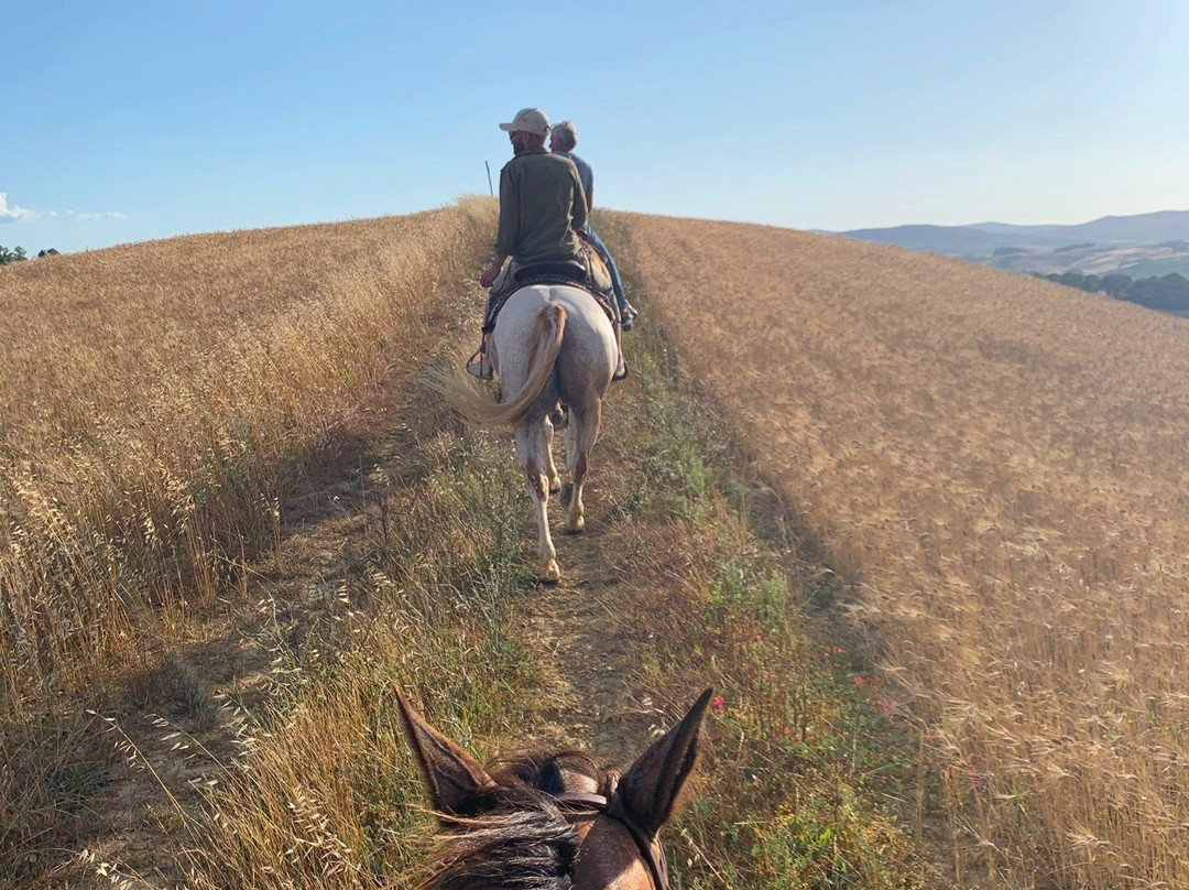 IL MISSOURI-Buonconvento必去景点