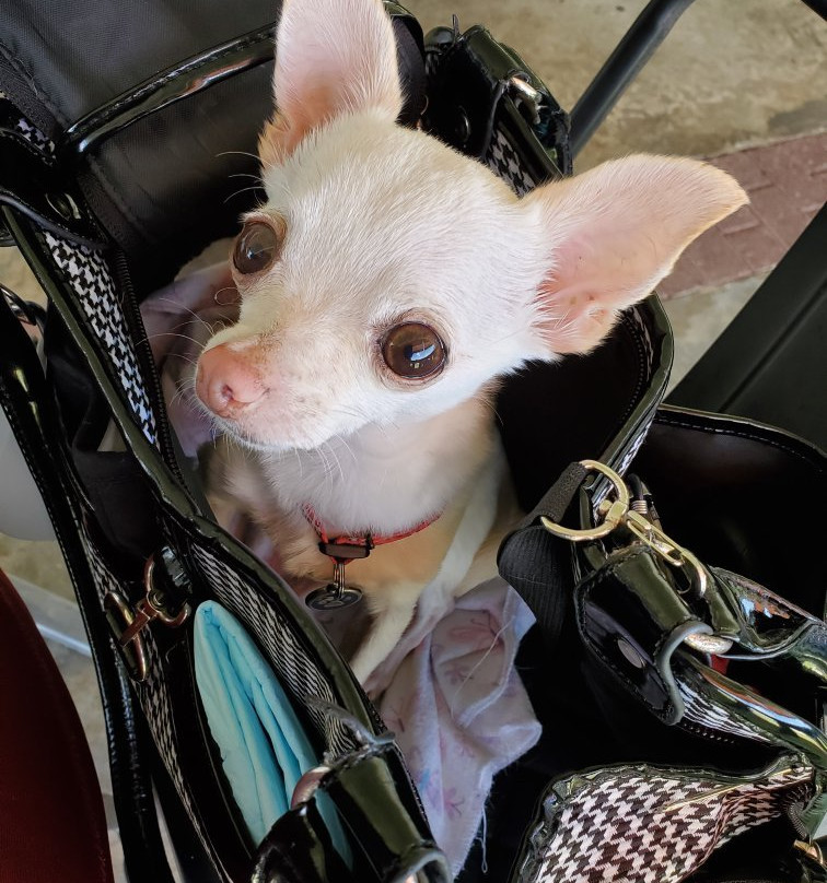 Hacienda La Fe-San Sebastian必去景点