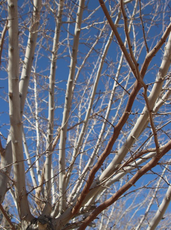 Homestead Valley Park and Recreation-Landers必去景点