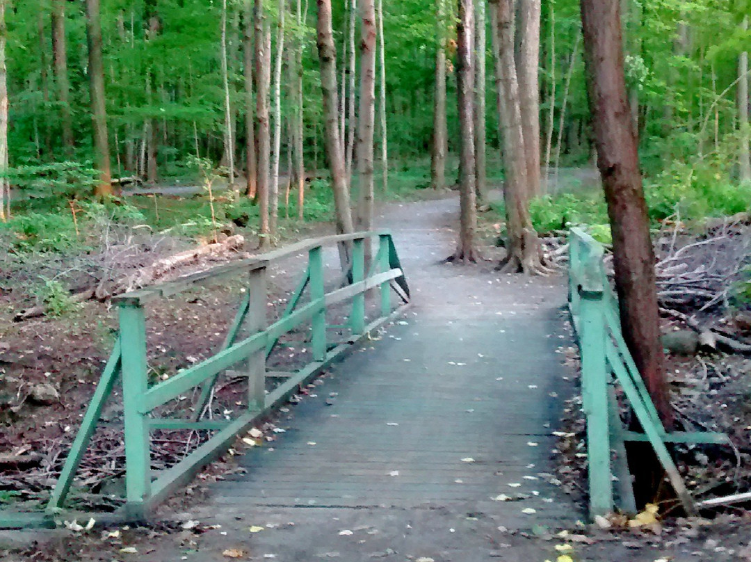 Centennial Park景点图片