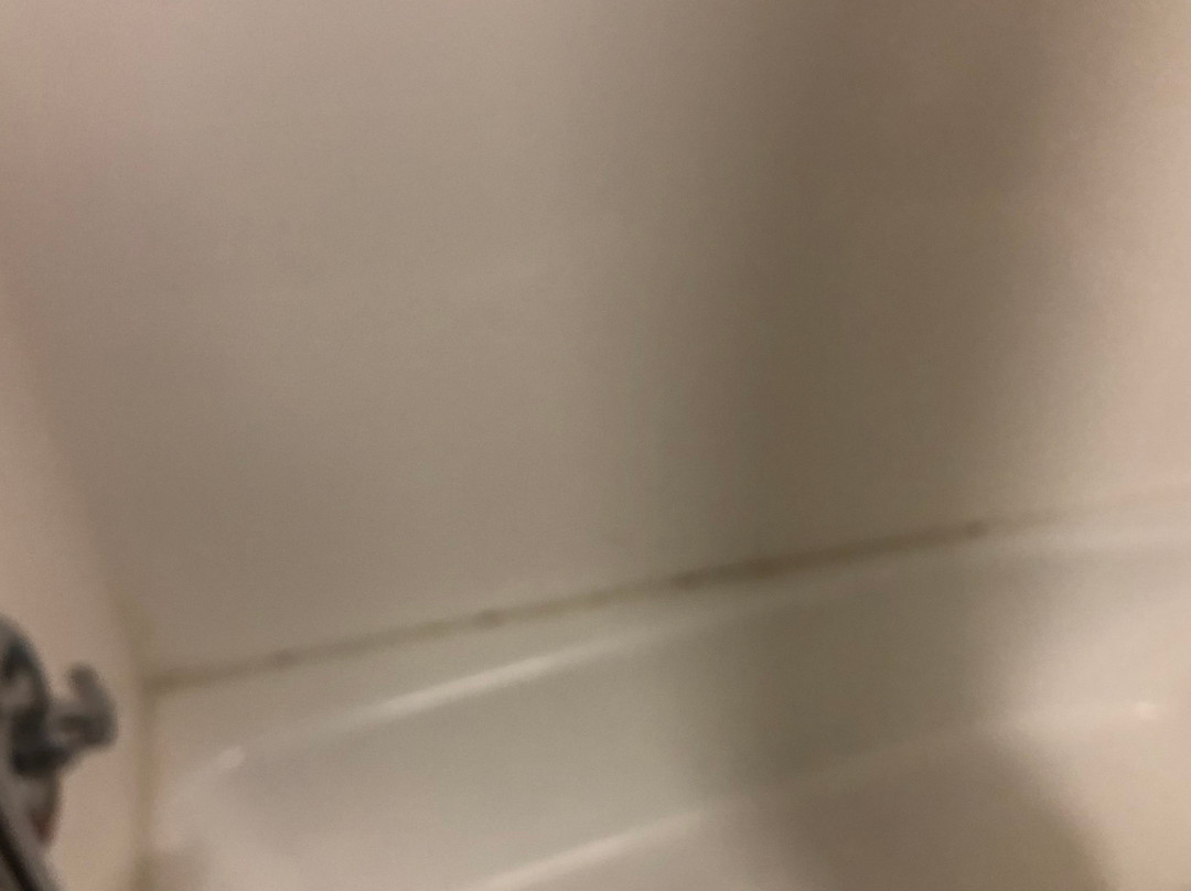 Hampton Inn Harrisonburg - University主图