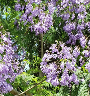 长居公园-大阪市必去景点