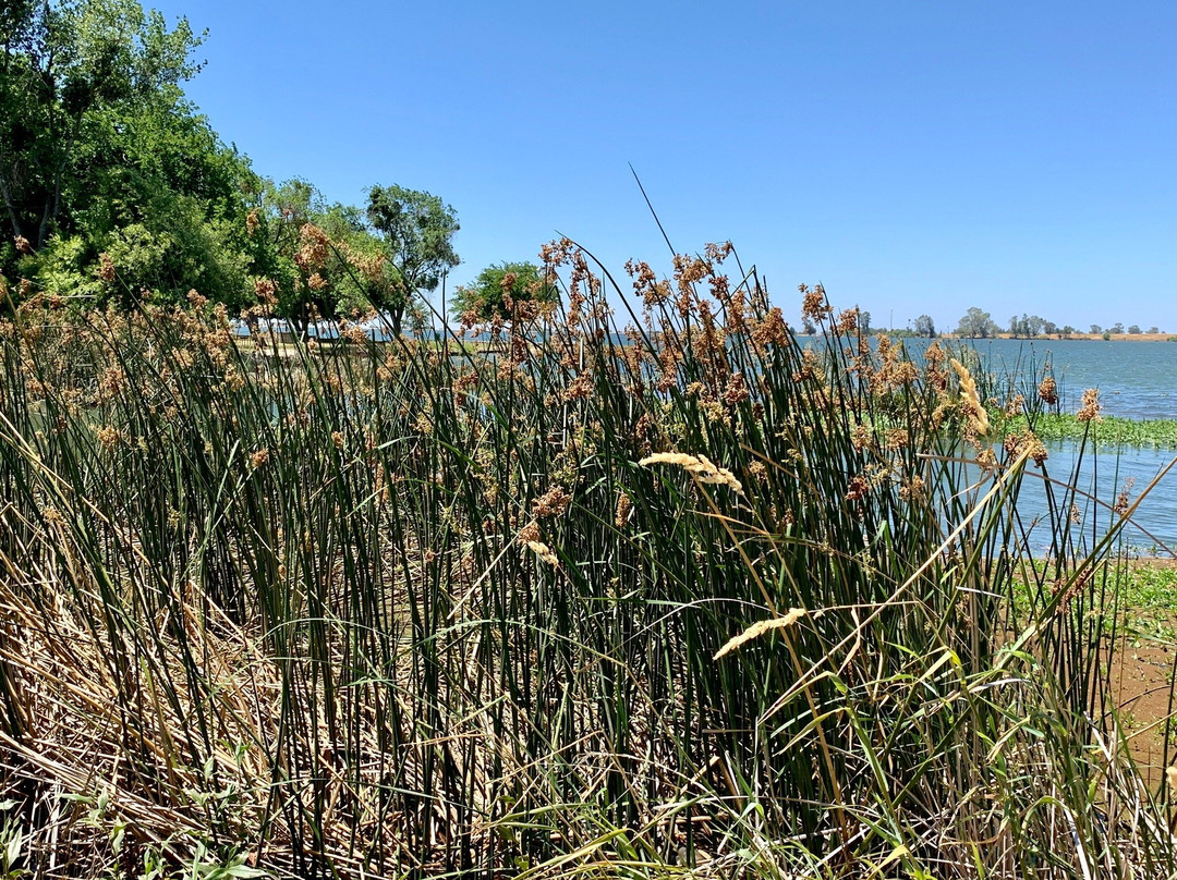 Lake Yosemite-默塞德必去景点