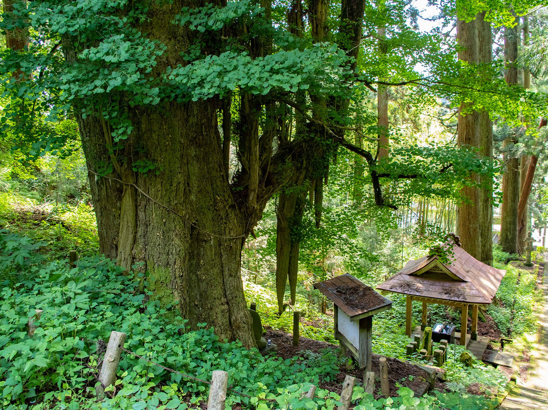 Yuzusame Shrine-鹤冈市必去景点