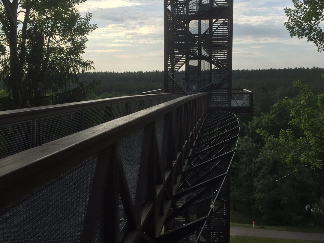 The Treetop Walking Path-Katleriai必去景点