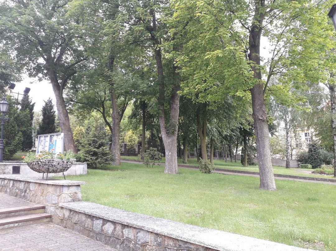Kościół pw. św. Marii Magdaleny景点图片