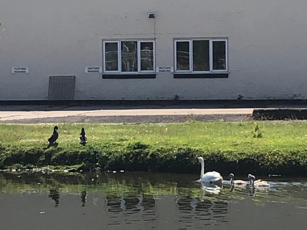 Saul Junction Canalside景点图片