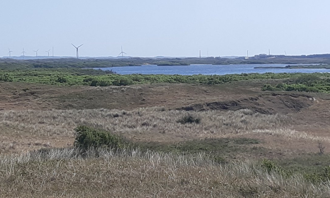 Natuurgebied Zwanenwater景点图片