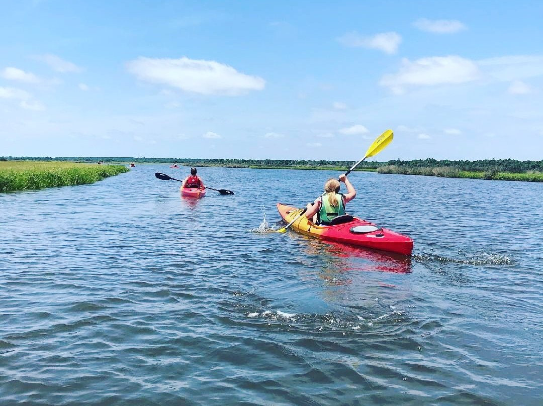 Paddle NC景点图片