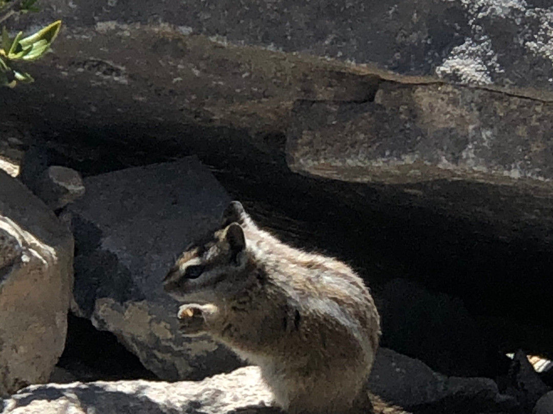 教堂石道-拉斯维加斯必去景点