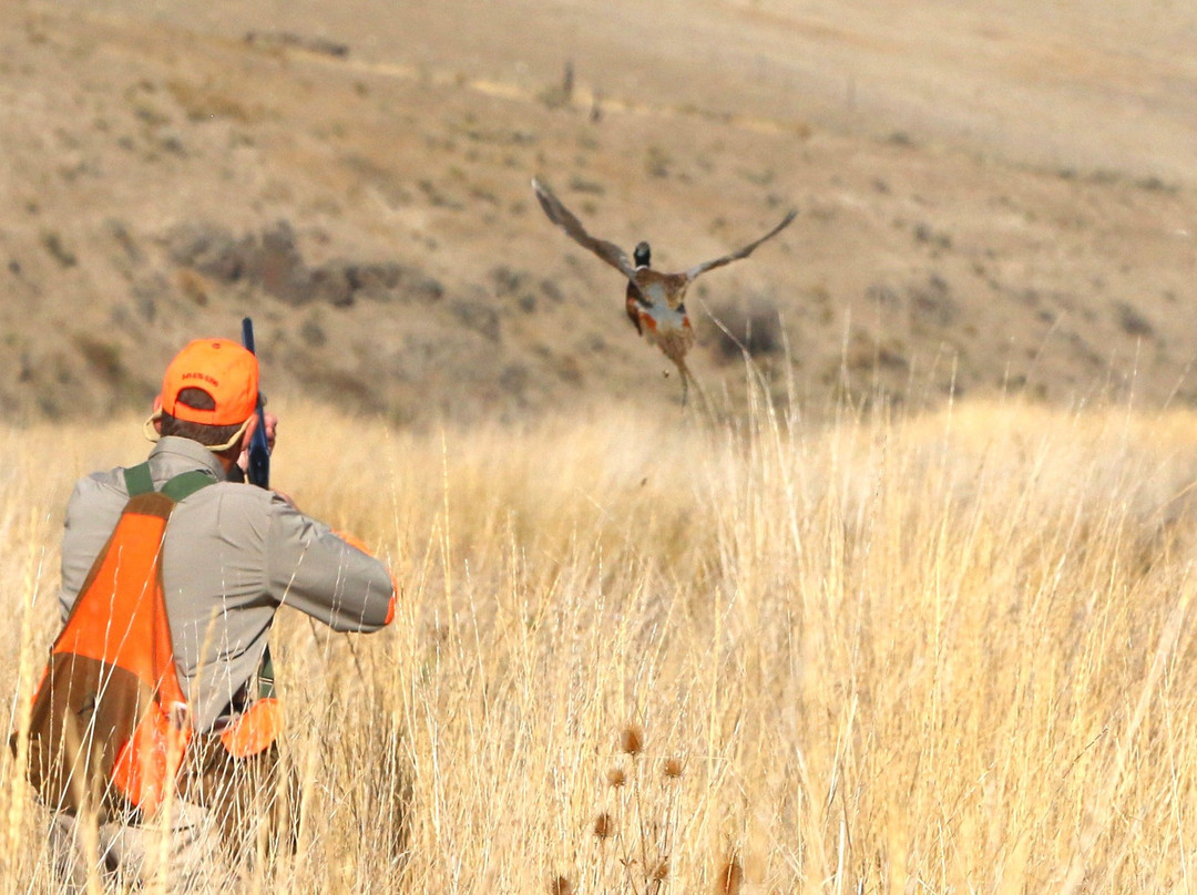 2023年12月Heppner旅游景点攻略Heppner旅游住宿,Heppner旅游美食猫途鹰