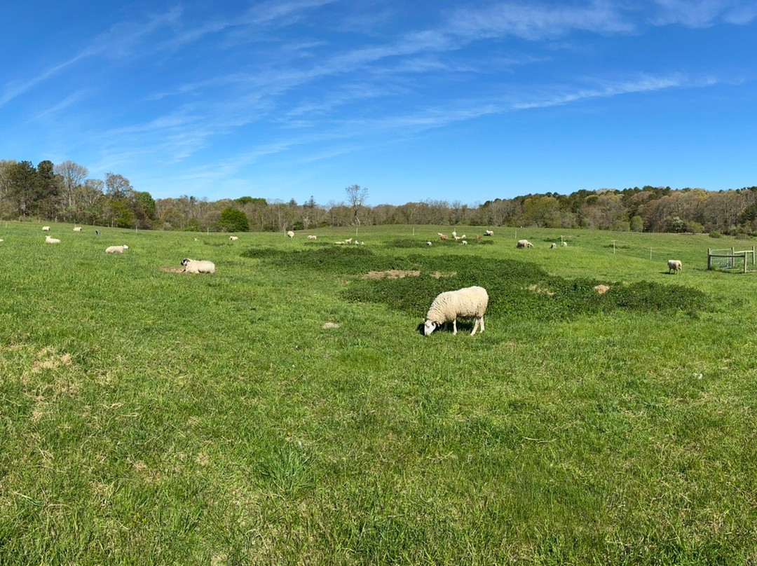 Peterson's Farm景点图片