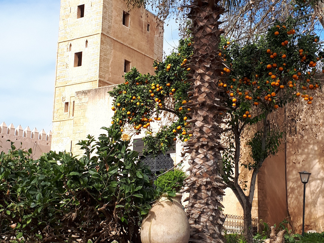 Andalusian Gardens-拉巴特必去景点