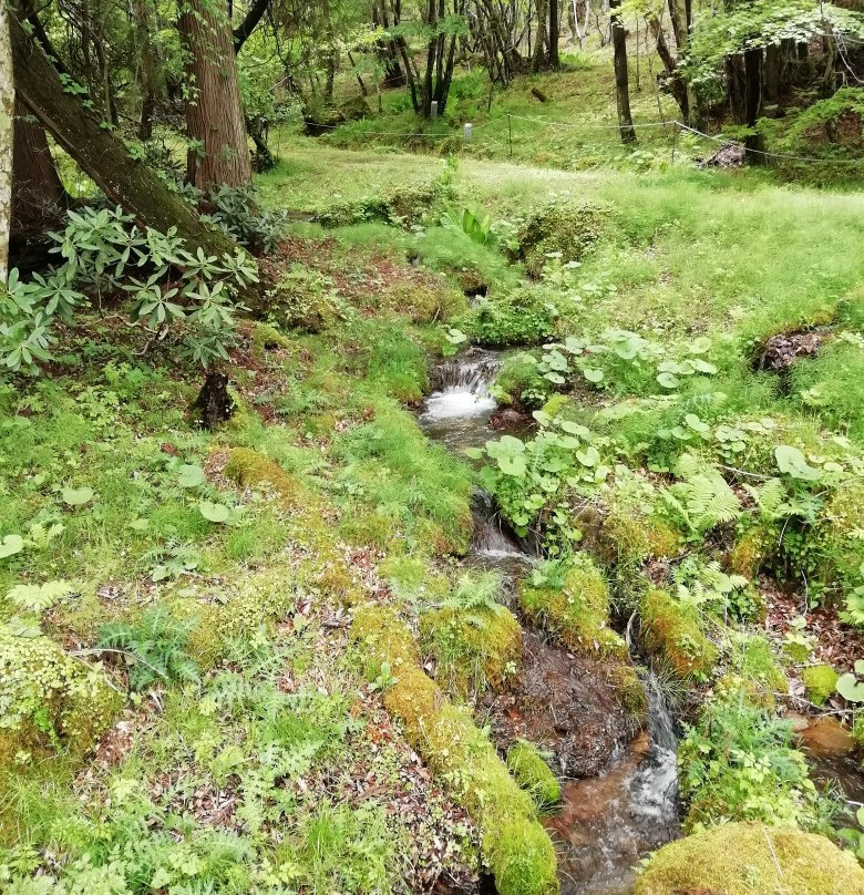 Shiramizu Kosen-由布市必去景点