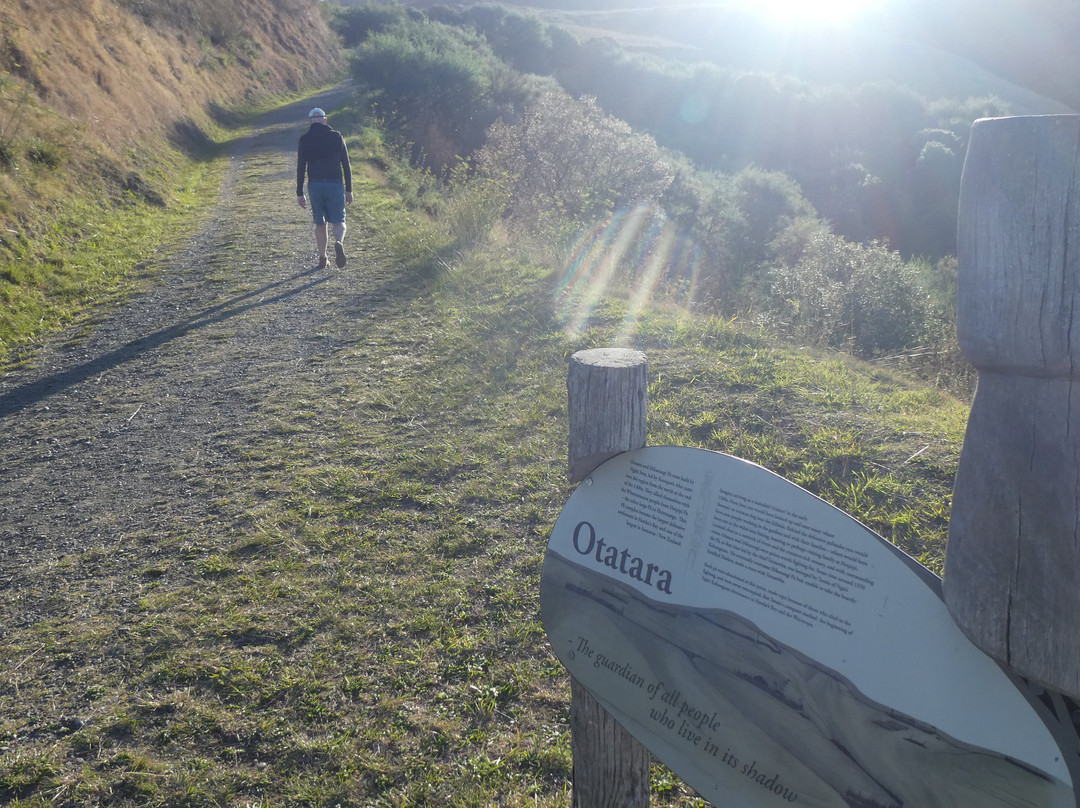 Otatara Pa Historic Reserve Walk景点图片