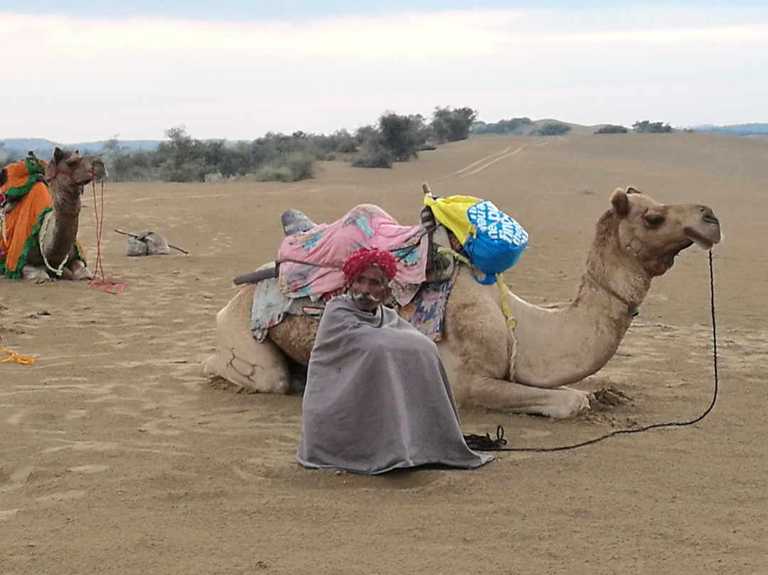 Jaisalmer Camel Safari Day tour景点图片