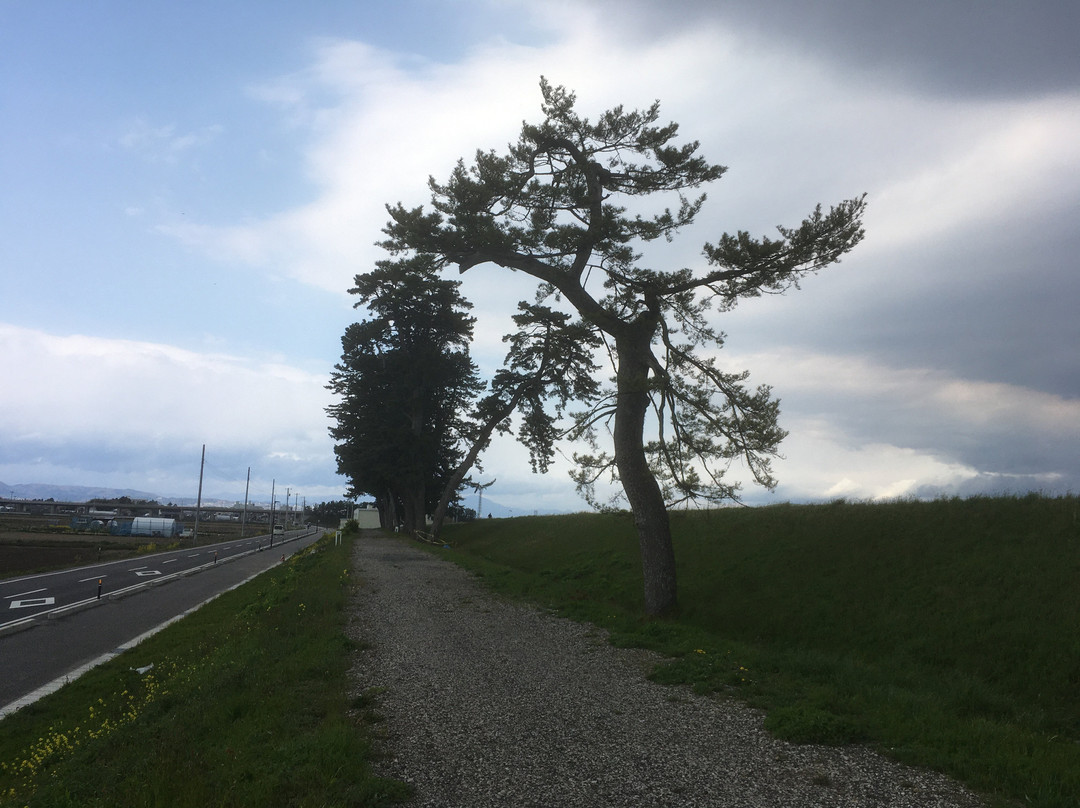 Andon Matsu-名取市必去景点