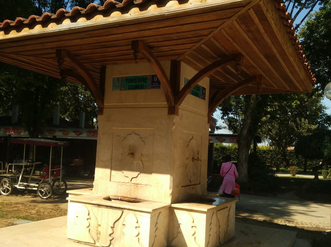 Soğanlı Botanik Parkı-布尔萨必去景点