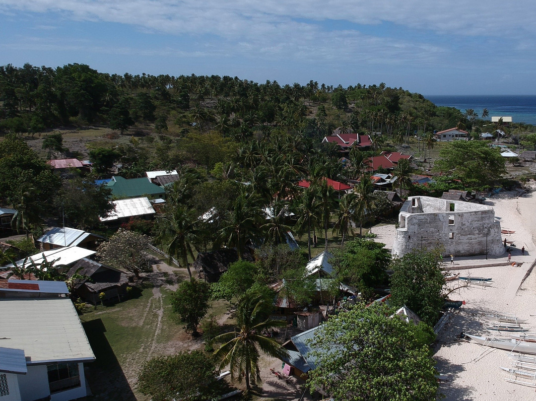 Pamilacan Island Dolphin and Whale Watching Tours景点图片