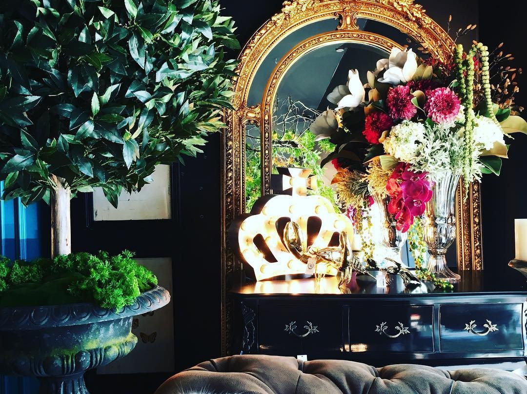 Bowerbird on Argyle-Moss Vale必去景点