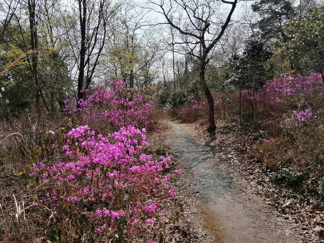 Aichi Greenery Center-丰田市必去景点