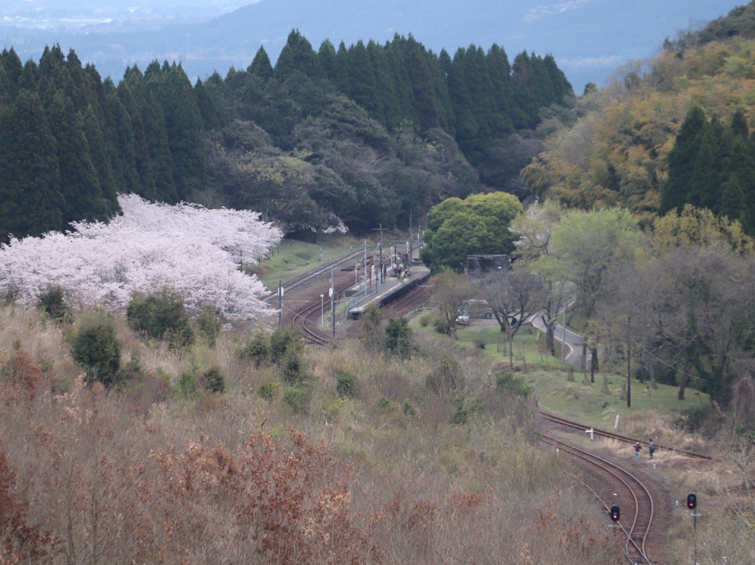 JR Kyushu Isaburo Shimpei景点图片