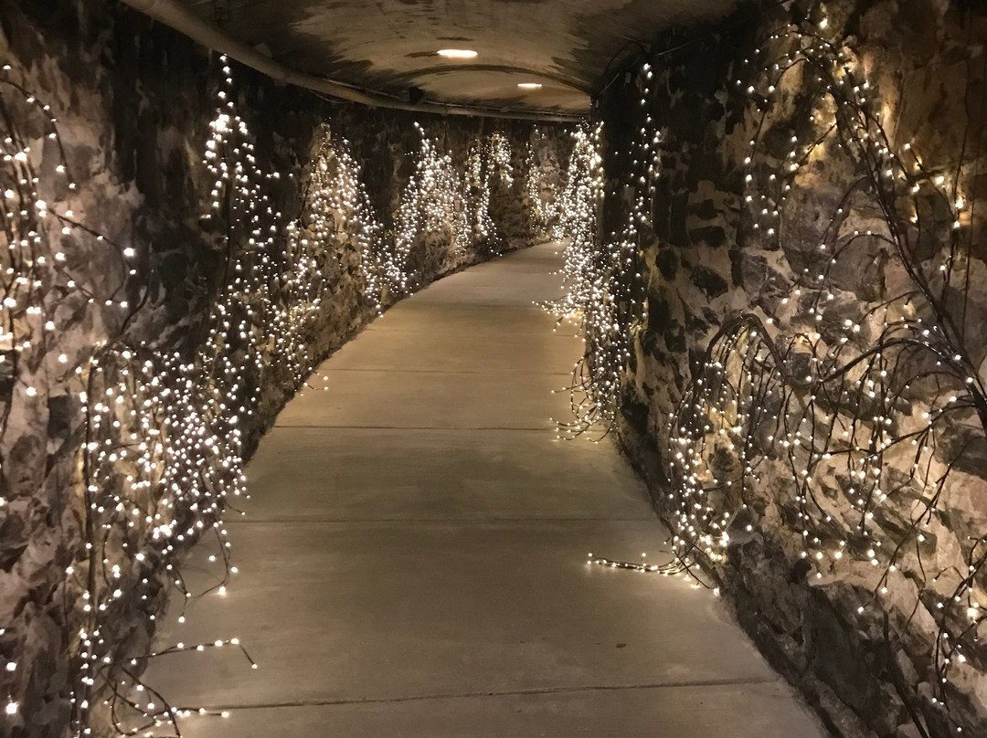 Biltmore Village景点图片