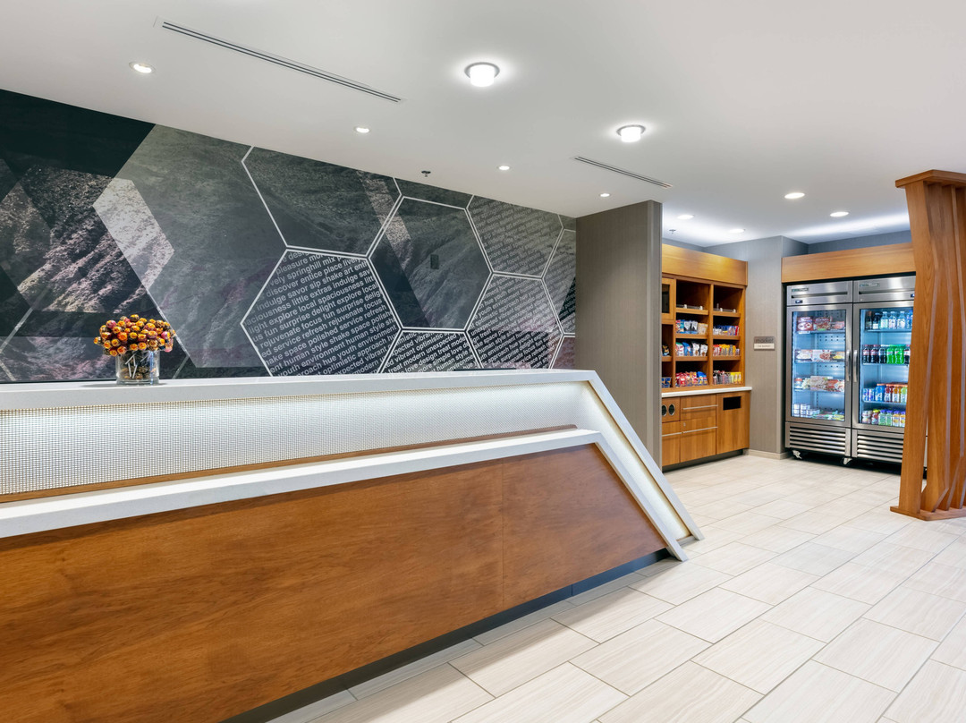 Springhill Suites by Marriott Chattanooga South/Ringgold, GA主图