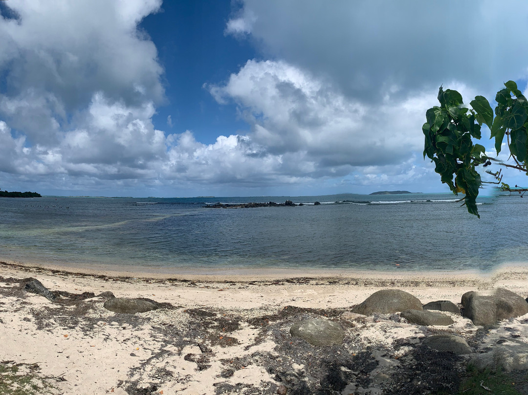 El Malecon de Naguabo-Naguabo必去景点