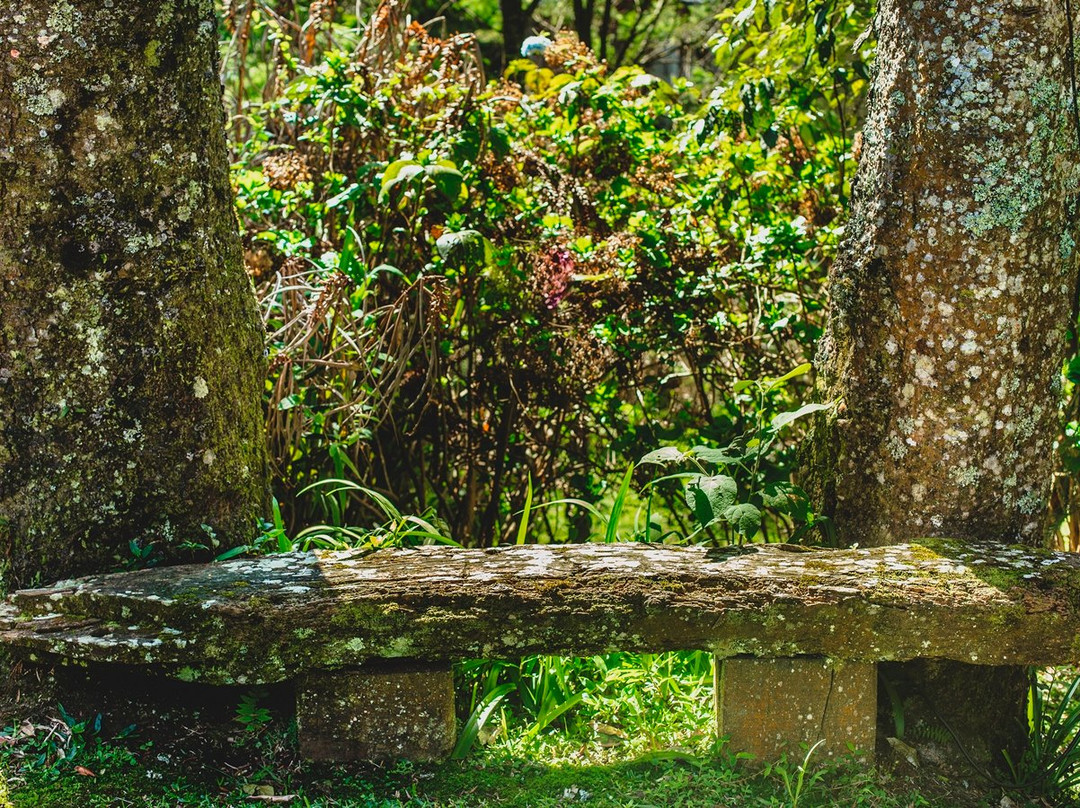 Sao Chico Pousada - EcoVillage主图