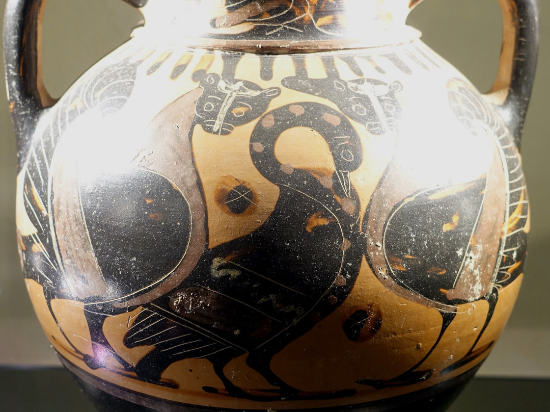 Museo Archeologico Mecenate-阿雷佐必去景点