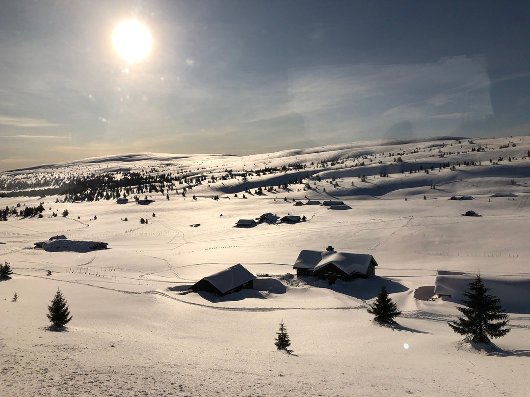 Pellestova Hotel Hafjell主图