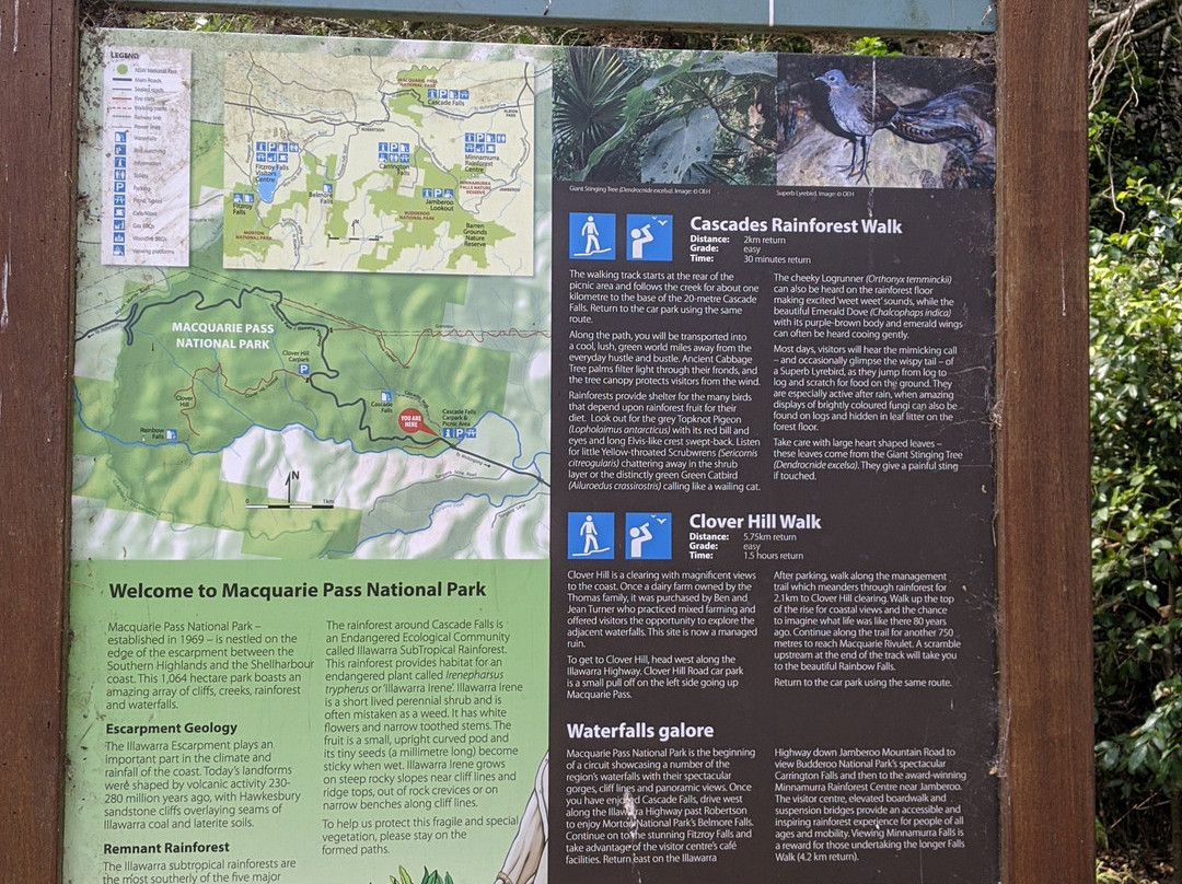 Macquarie Pass National Park景点图片