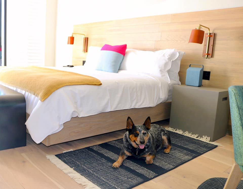 奥比斯波圣路易斯酒店