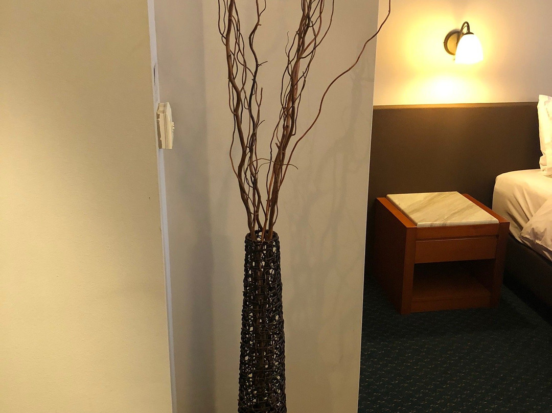 Hotel Z Palace & Congress Center主图