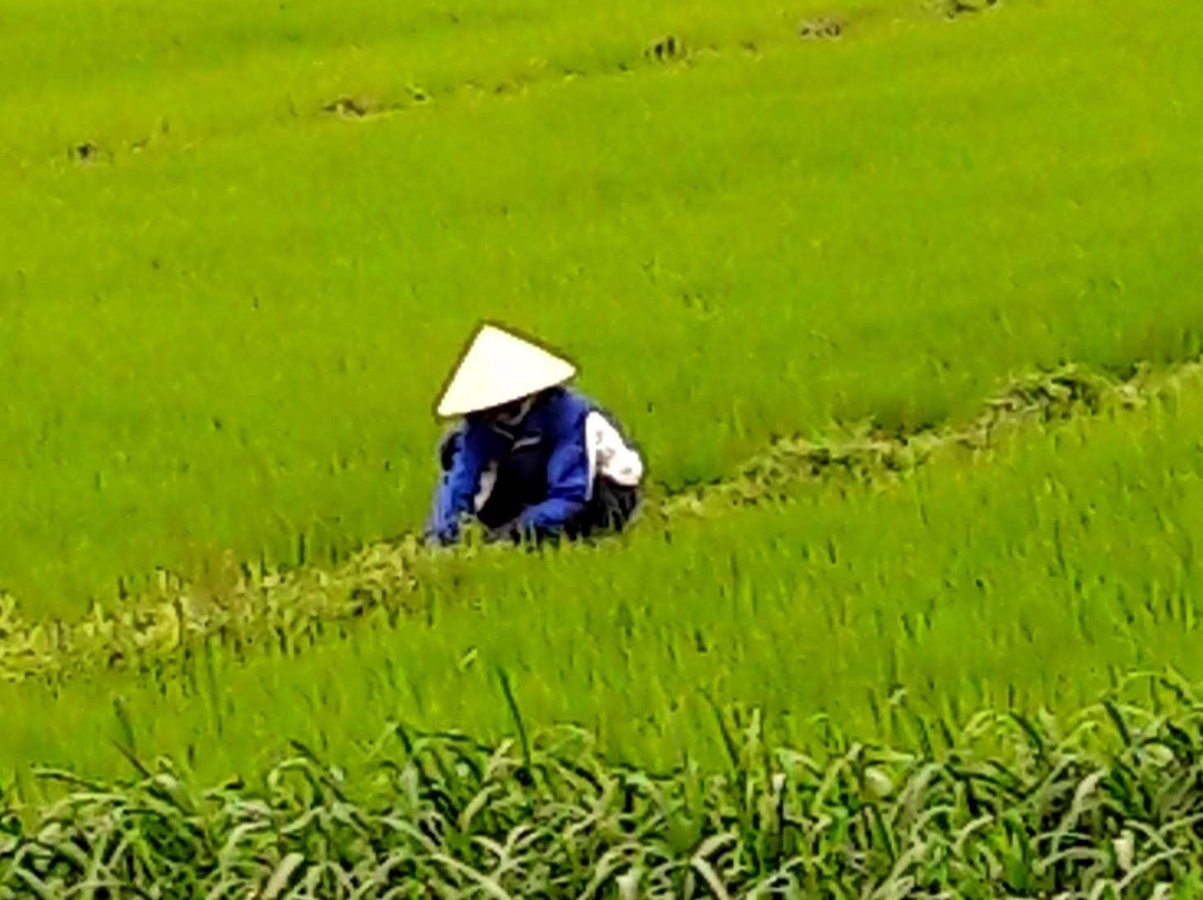 DiDiThoi-峰牙－己榜国家公园必去景点