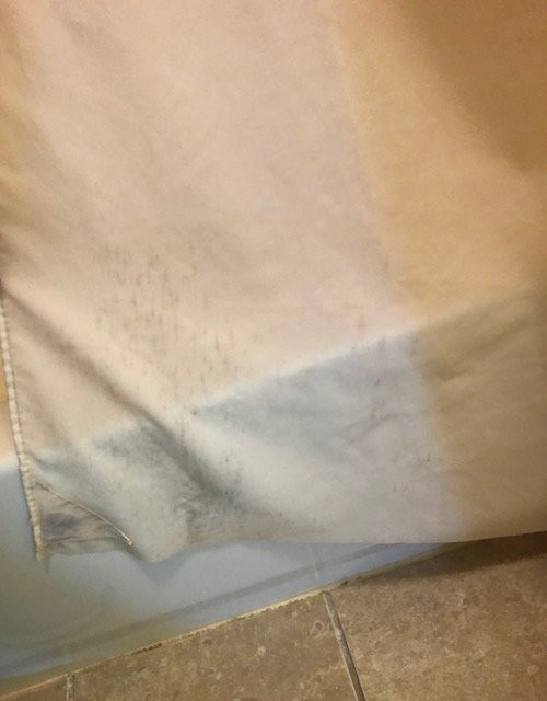 Staybridge Suites Gulf Shores By IHG主图