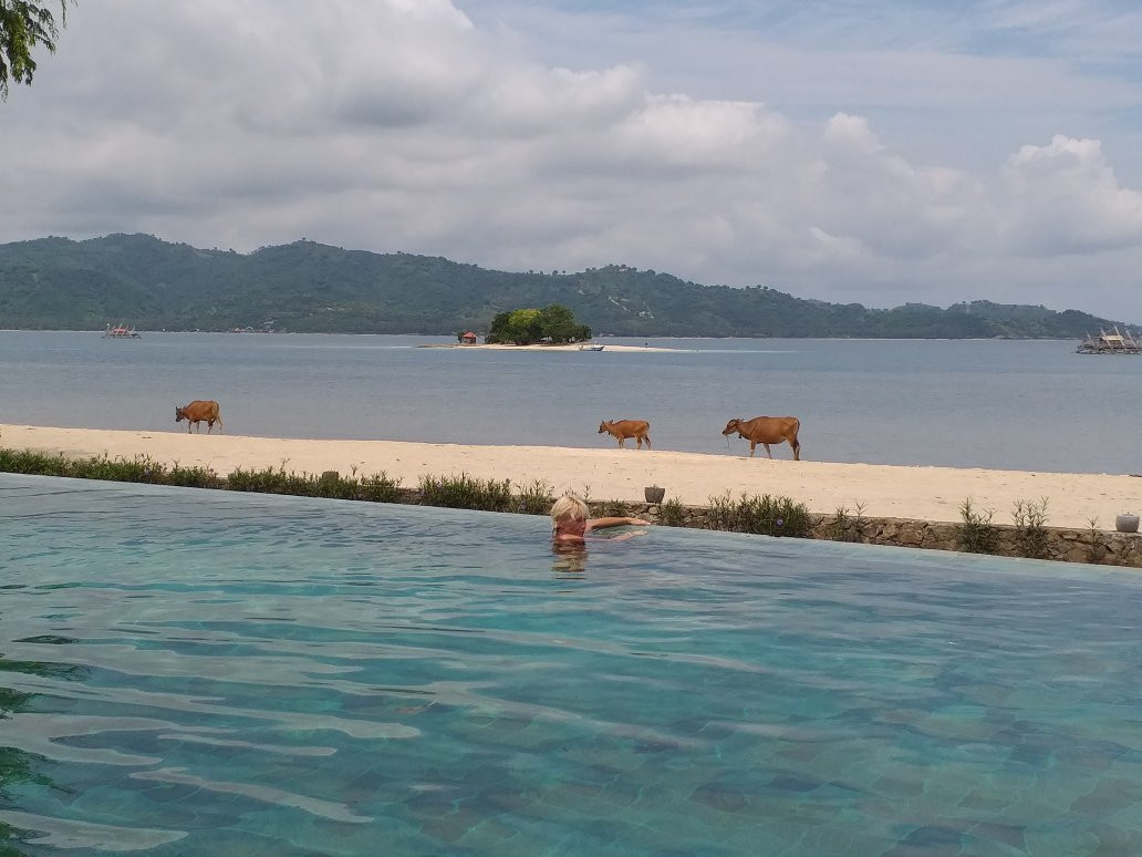 The Suites Lombok主图