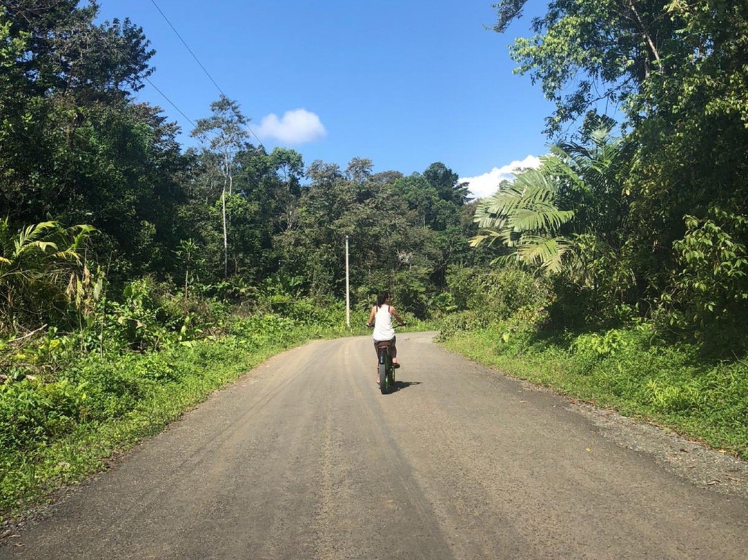 Bocas Ebikes景点图片