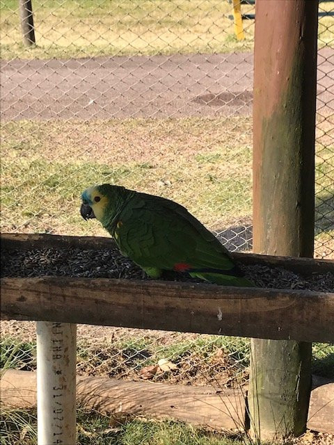 Santa Teresa National Park景点图片