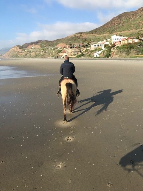 Traditional Horseriding of La Misión-La Mision必去景点