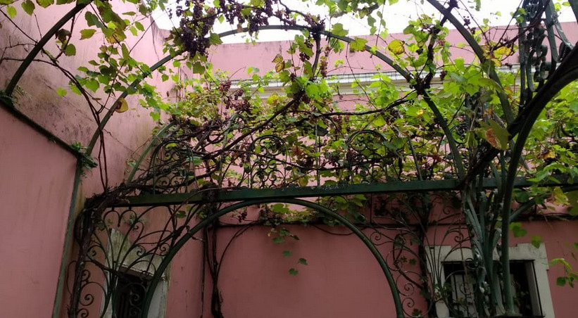 Palacio San Jose景点图片