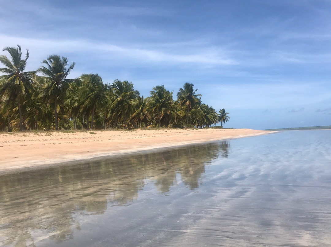 Pousada Doze cabanas主图