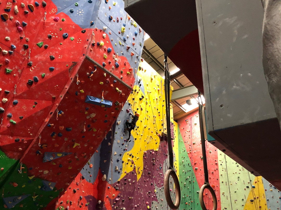 The Pinnacle Climbing Centre景点图片