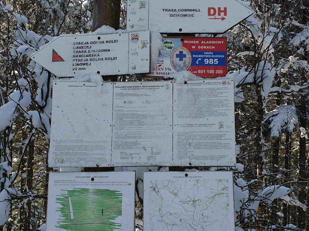 Skigebiet Góra Dzikowiec景点图片