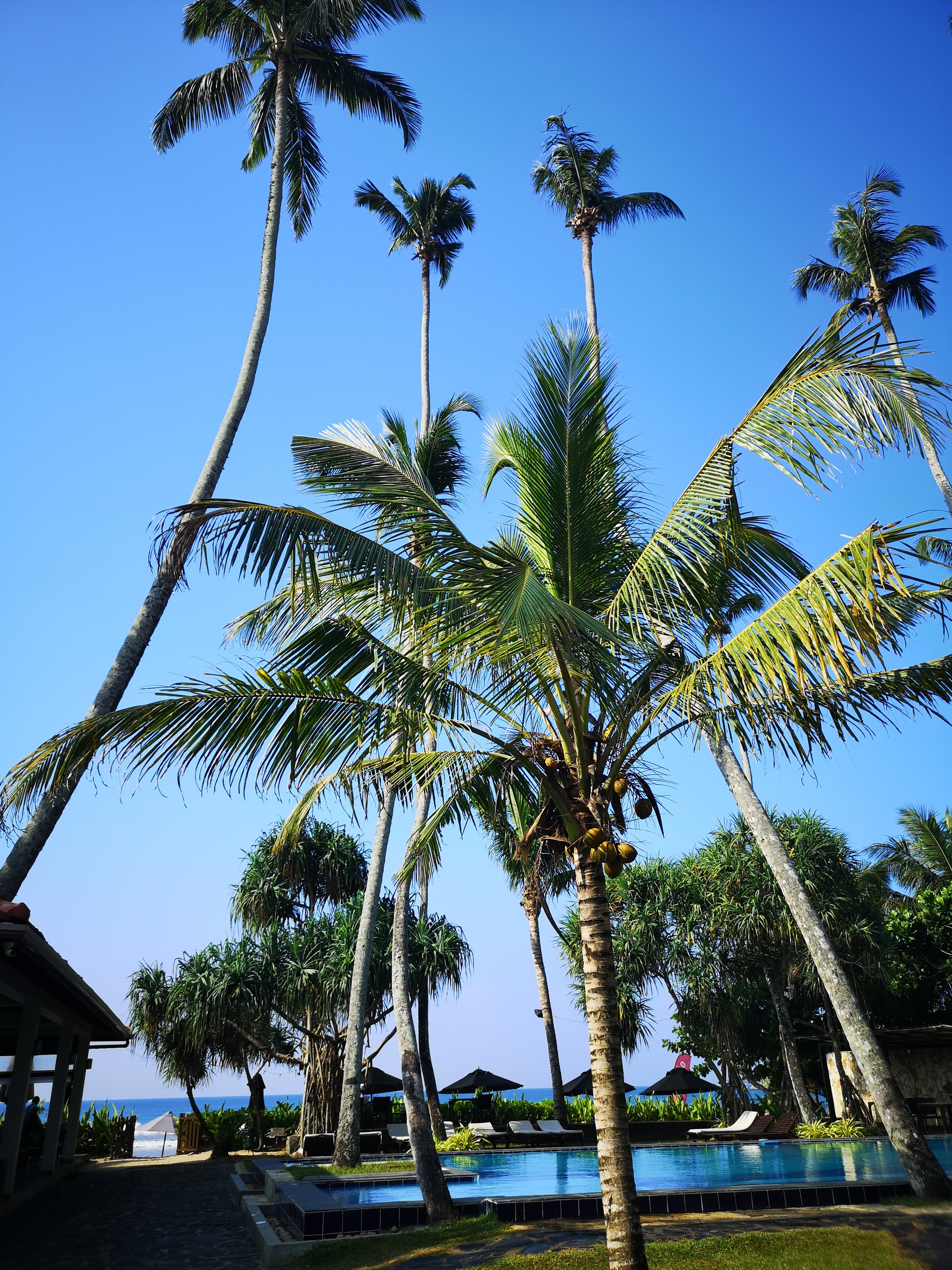 维利格玛海湾度假村-泳池