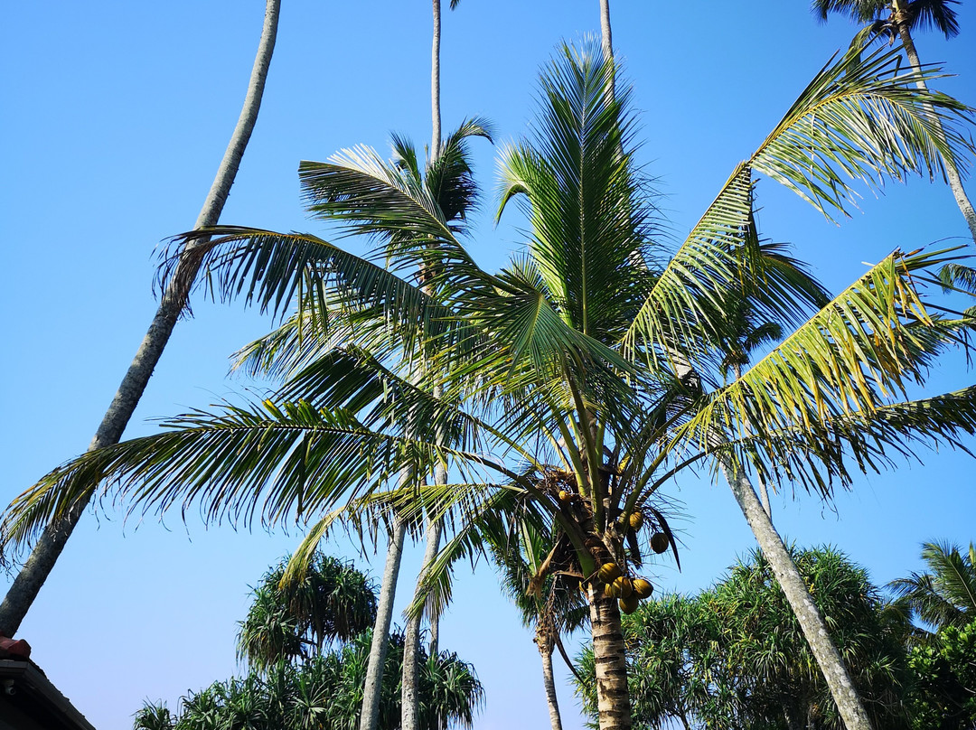 维利格玛海湾度假村主图
