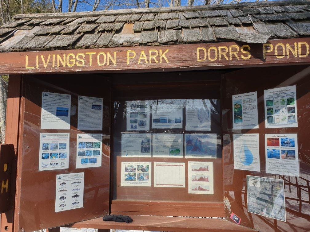 Livingston Park-曼彻斯特必去景点